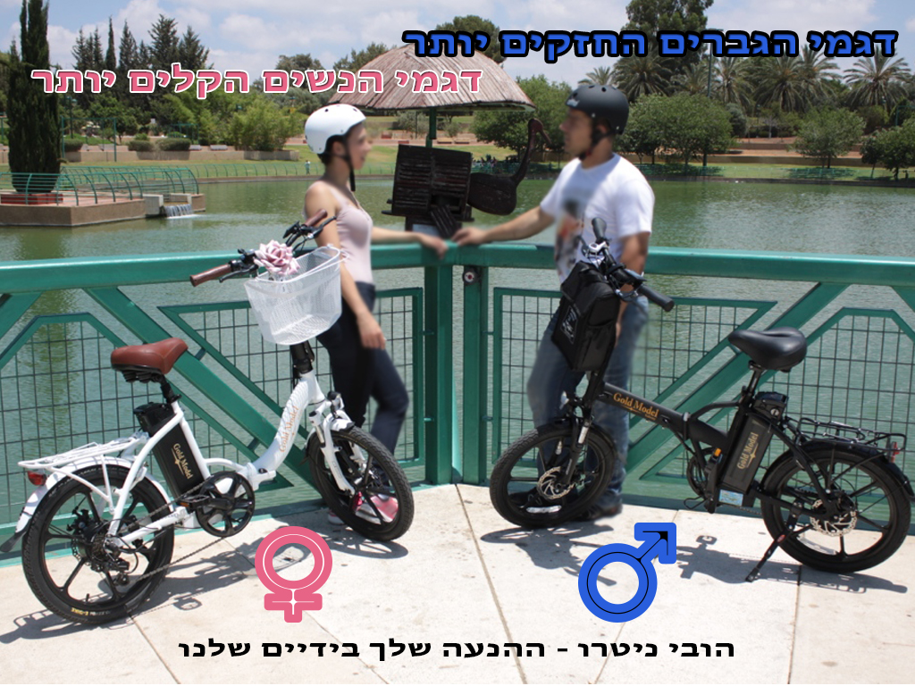 גולד מודל